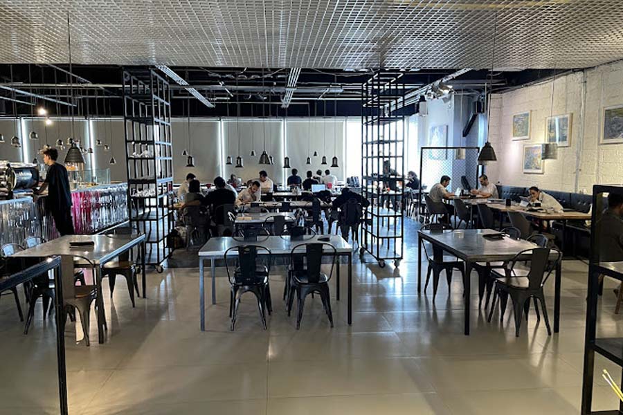 وی کافه شعبه قلهک