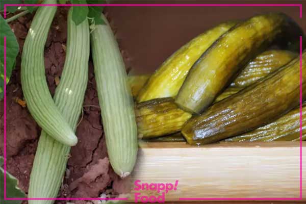 مراحل تهیه ترشی خیار چنبر