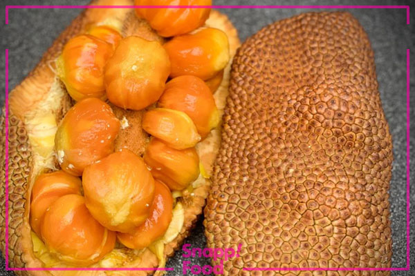 میوه کمپداک (Cempedak)