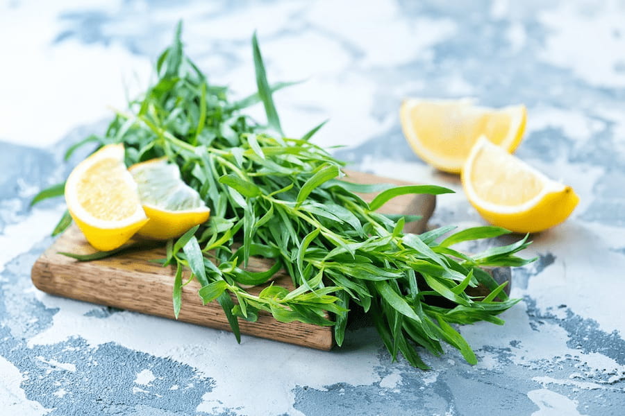 خواص سبزی ترخون