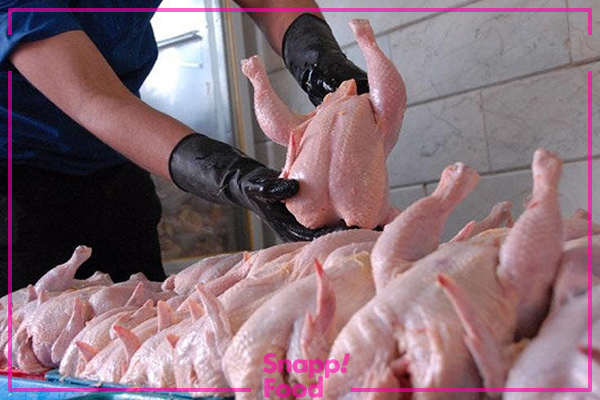 چرا به مرغ‌ها آنتی بیوتیک تزریق می‌شود؟