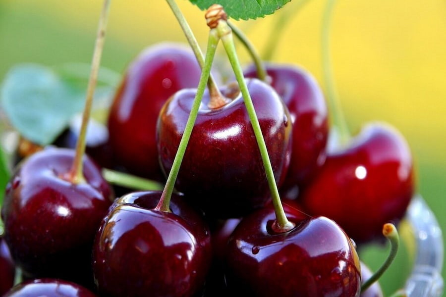 مصرف گیلاس تازه