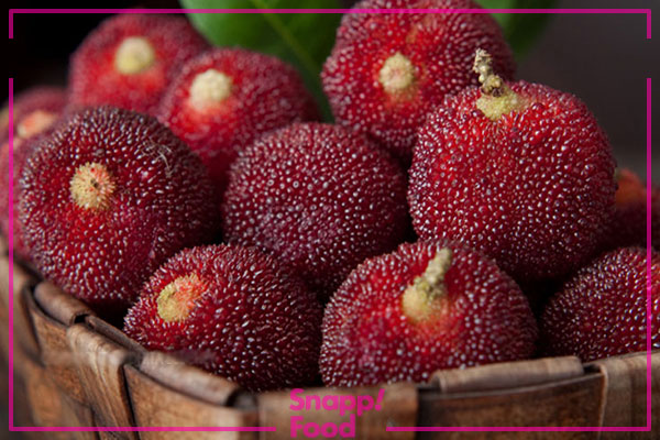 خواص ضد سمی یام بری