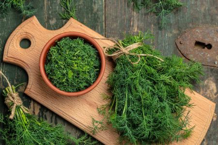 خواص شوید تازه