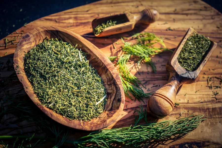 شوید و شوید خشک