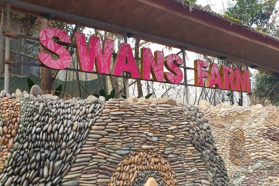 رستوران مزرعه قوها لاهیجان