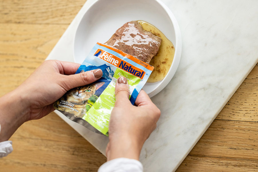 انواع پوچ گربه