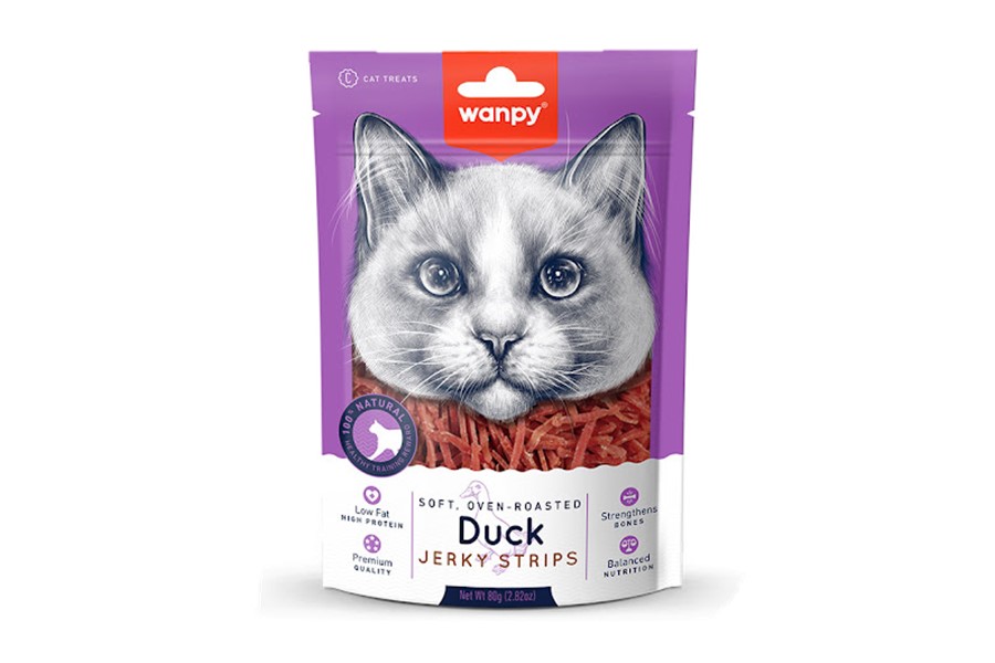 پوچ گربه ونپی