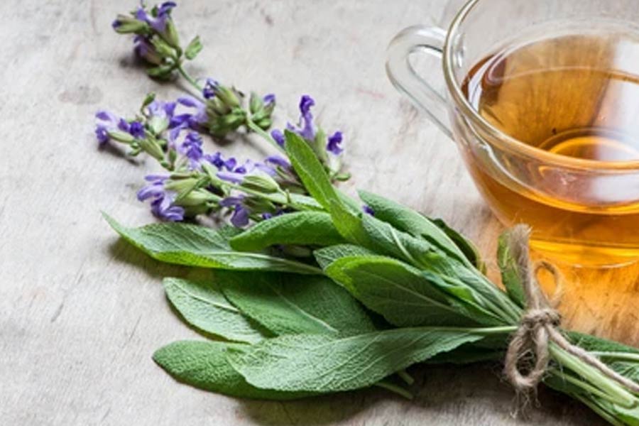 دمنوش چای مریم گلی؛ طعمی دلپذیر برای لاغری