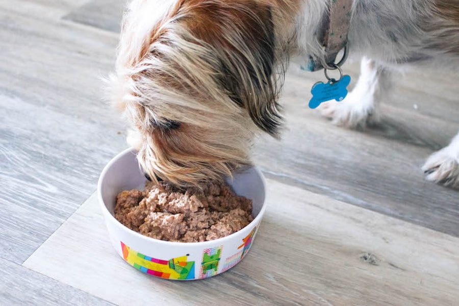 باقیمانده غذای کنسرو سگ