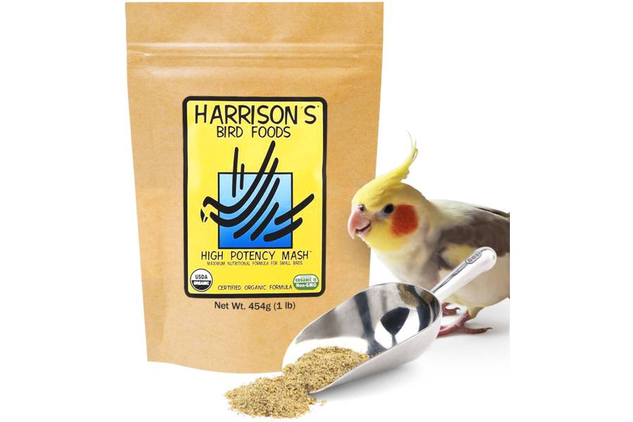 برند Harrison’s Bird Foods تشویقی عروس هلندی