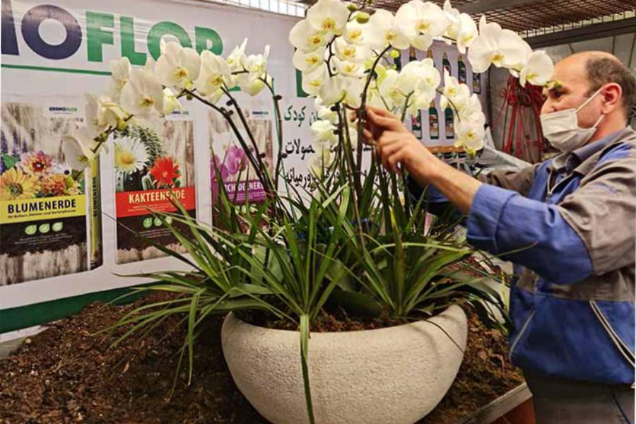 گلفروشی [جهان کودک