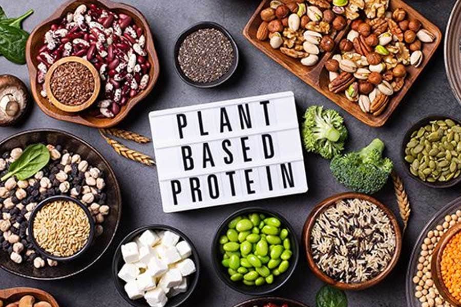 رژیم پروتئین برای گیاه‌خواران