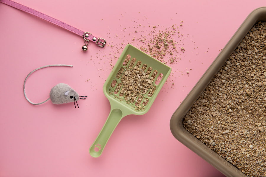 ظرف خاک گربه