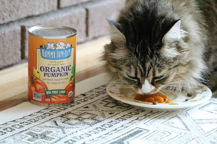 مالت جایگزین فیبر