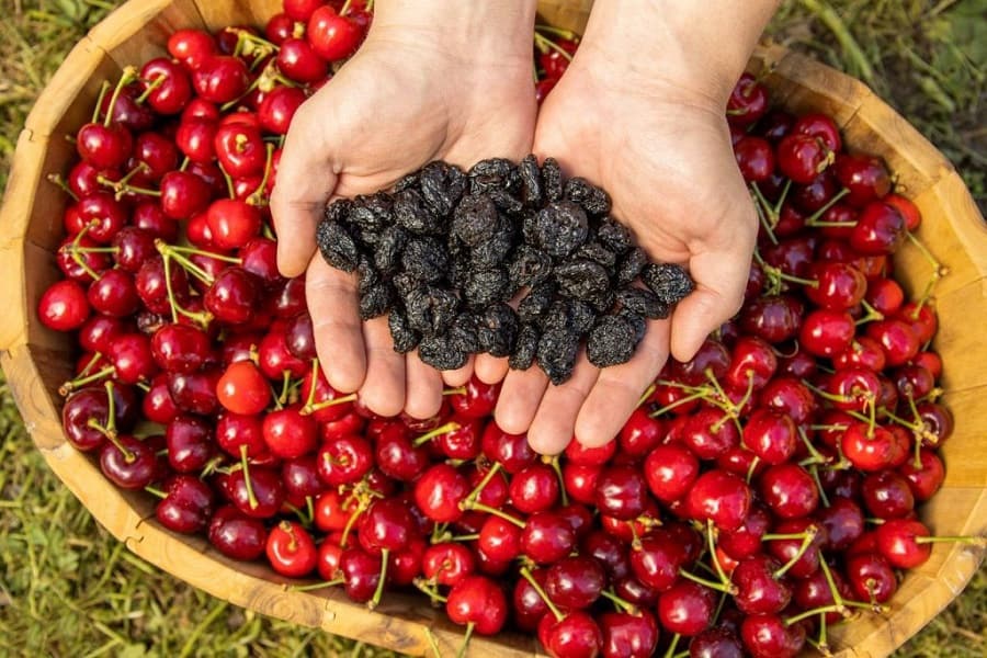 خواص آلبالو خشک در بارداری