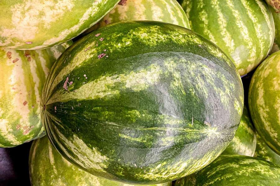 رنگ هندوانه رسیده