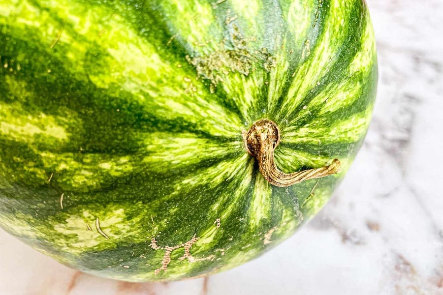 بررسی دم هندوانه رسیده