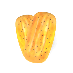 نانوایی