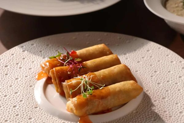 سرو غذا رودیزیو