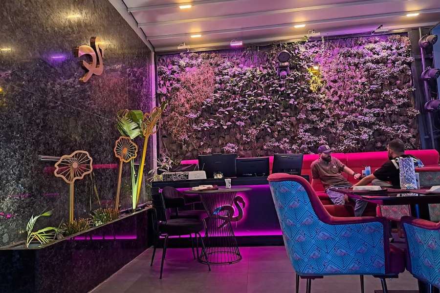 کافه رستوران فلامینگو