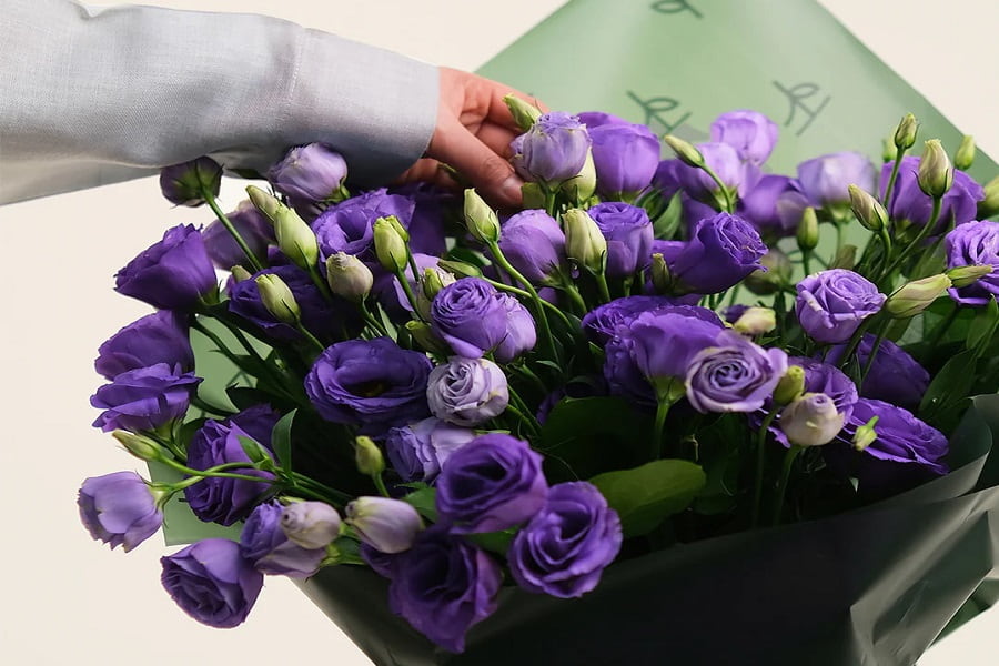 لیسیانتوس بنفش