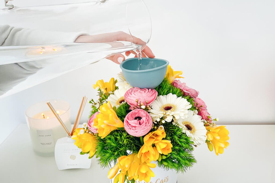 نگهداری باکس گل