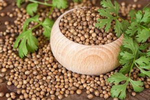 خواص تخم گشنیز